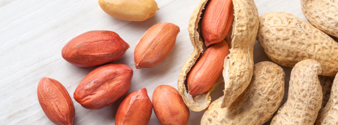 Exports to Canada and Mexico Provide Stability to Peanut Market