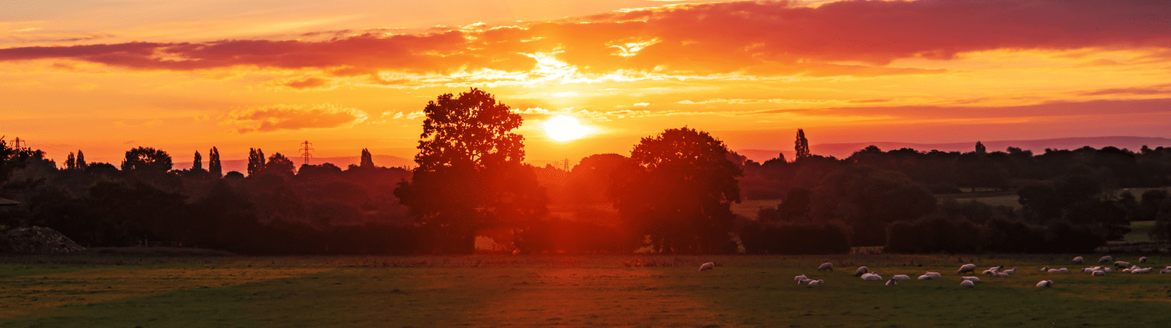 sunrise on farm