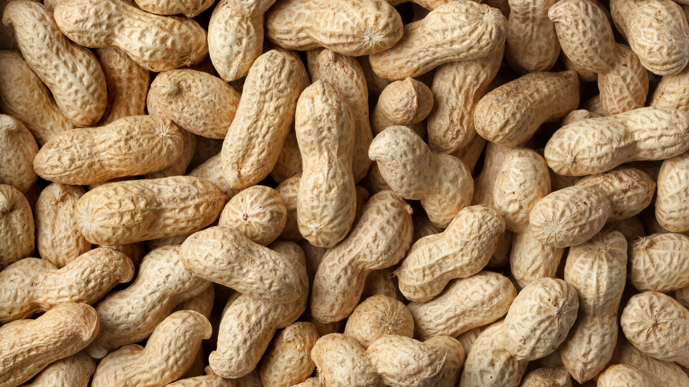 Is Shelled Use of Primary Peanut Products Softening?