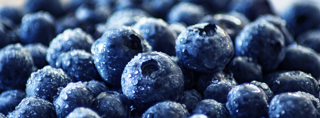 Market Trends for U.S. Blueberry:  Implications for Southeastern U.S. Producers