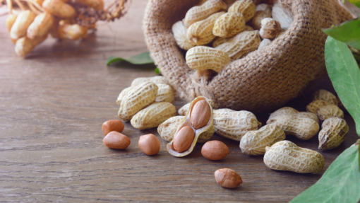 Peanut Production Up in 2021 Despite Lower Acreage