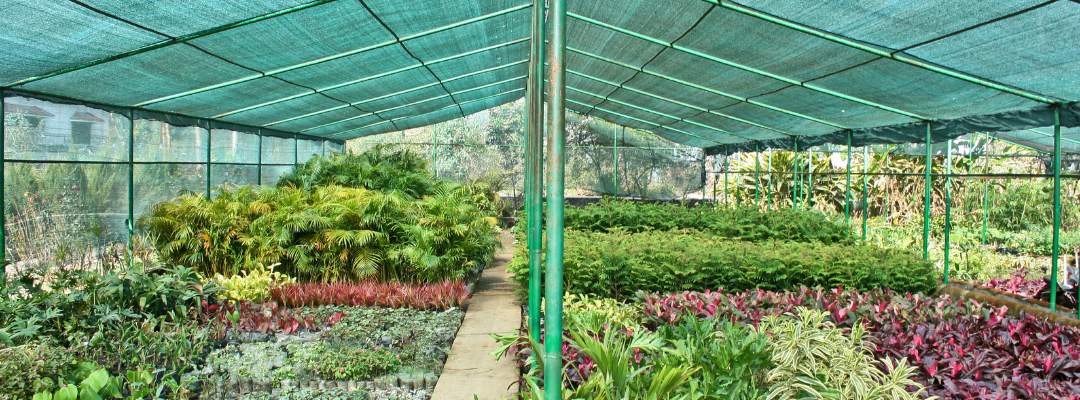 Increased Demand and Persistent Resource Challenges for the Nursery Industy