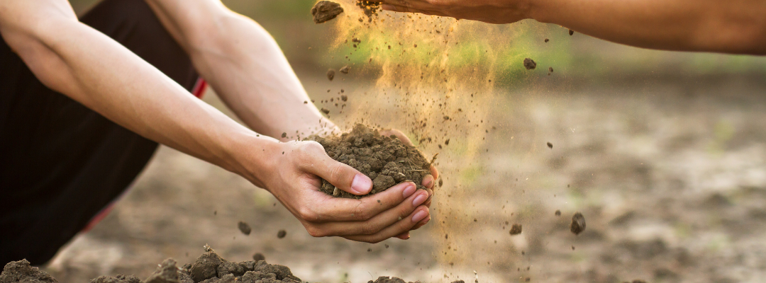 The Value of Proper Soil pH