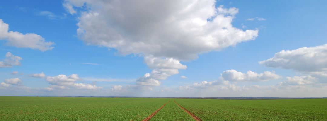 USDA Acreage Report Results: Price and Crop Insurance Impacts