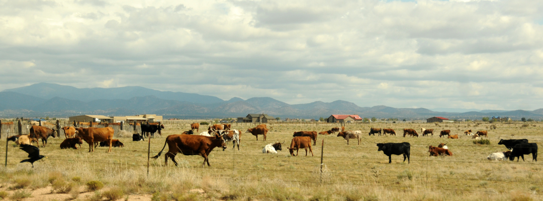 Two Key Productivity Measures with Profit Implications for Cow-calf Operations