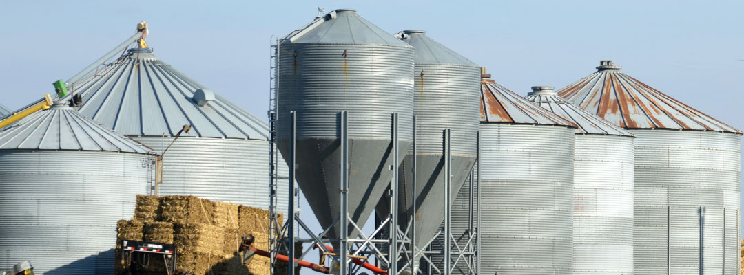On-Farm Grain Storage in Southern States