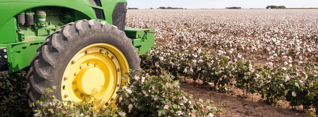 Cotton Crop Insurance to Protect Against Revenue Losses: Select Harvest Price Exclusion or Not?