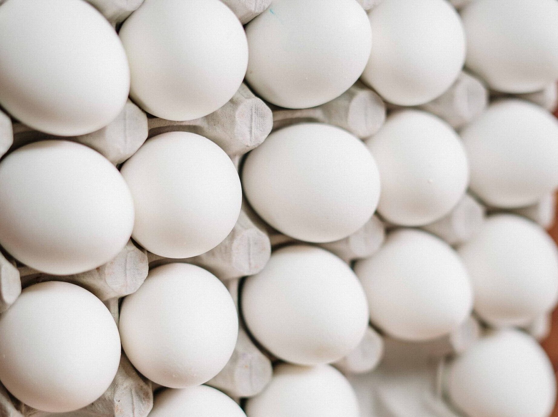 Record Egg Prices Driven by Supply Disruptions