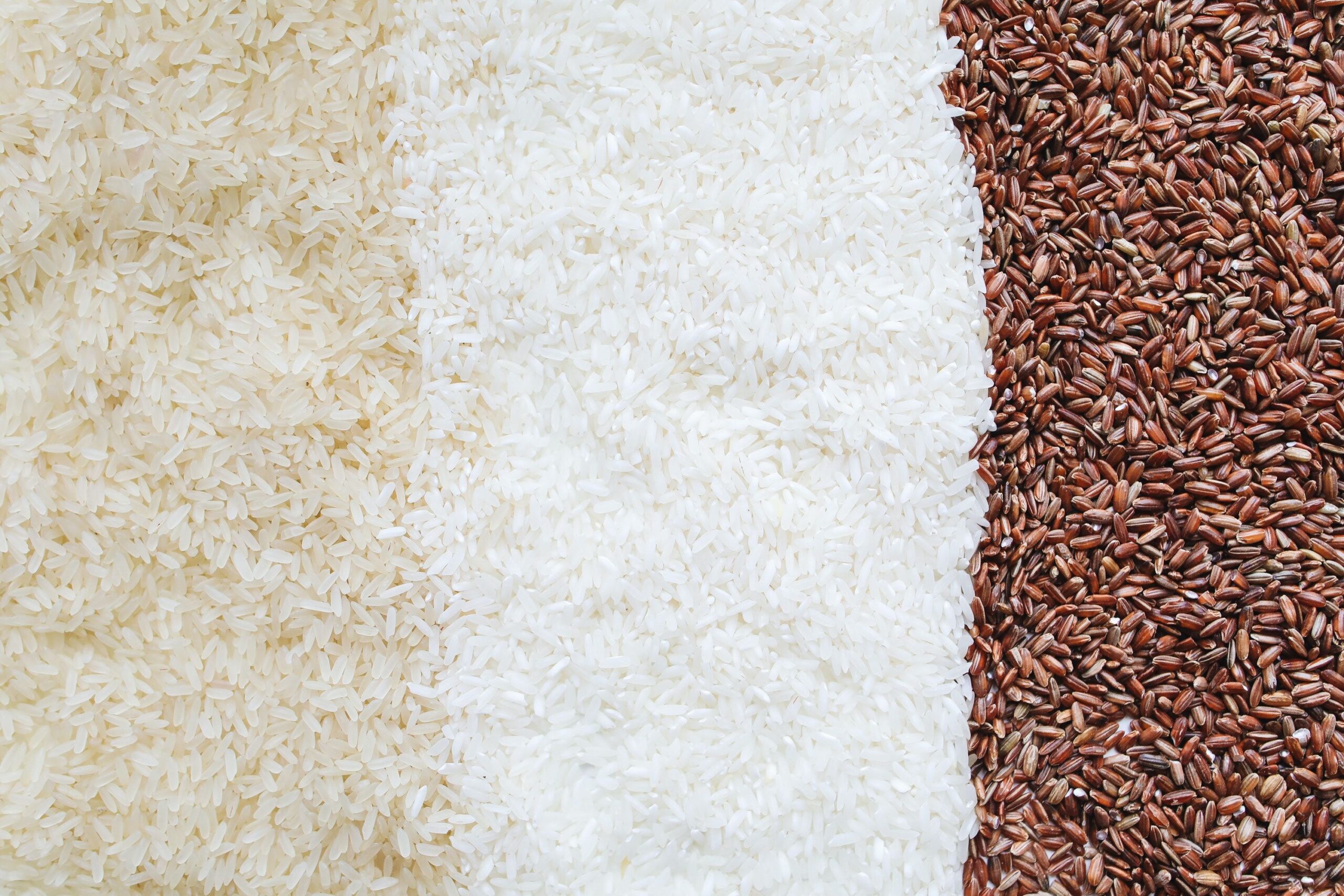 Analyzing the Relative Riskiness of Rice Yields