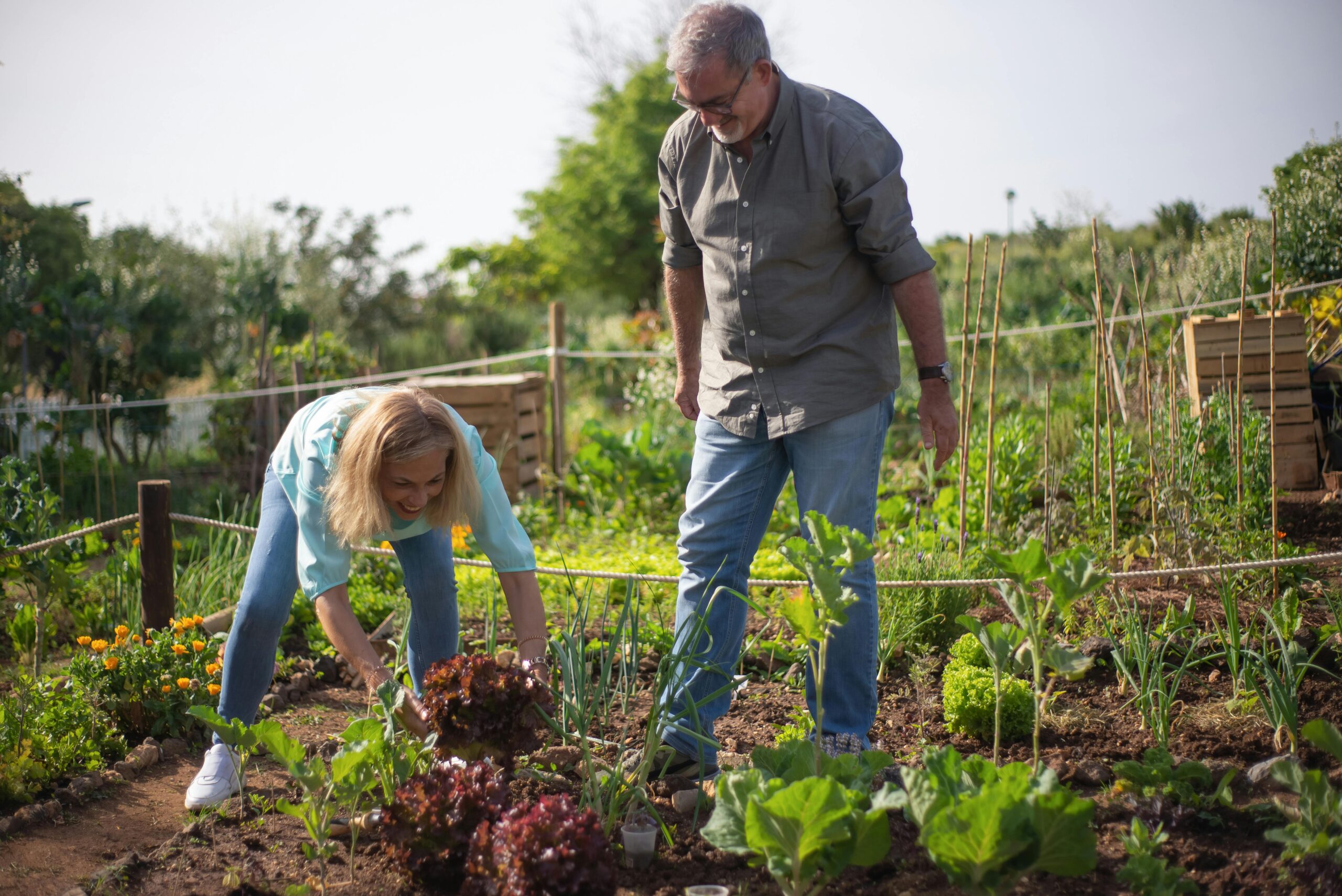 Urban Agriculture in the South: Addressing Food Insecurity and Social Inequality through Community Gardens