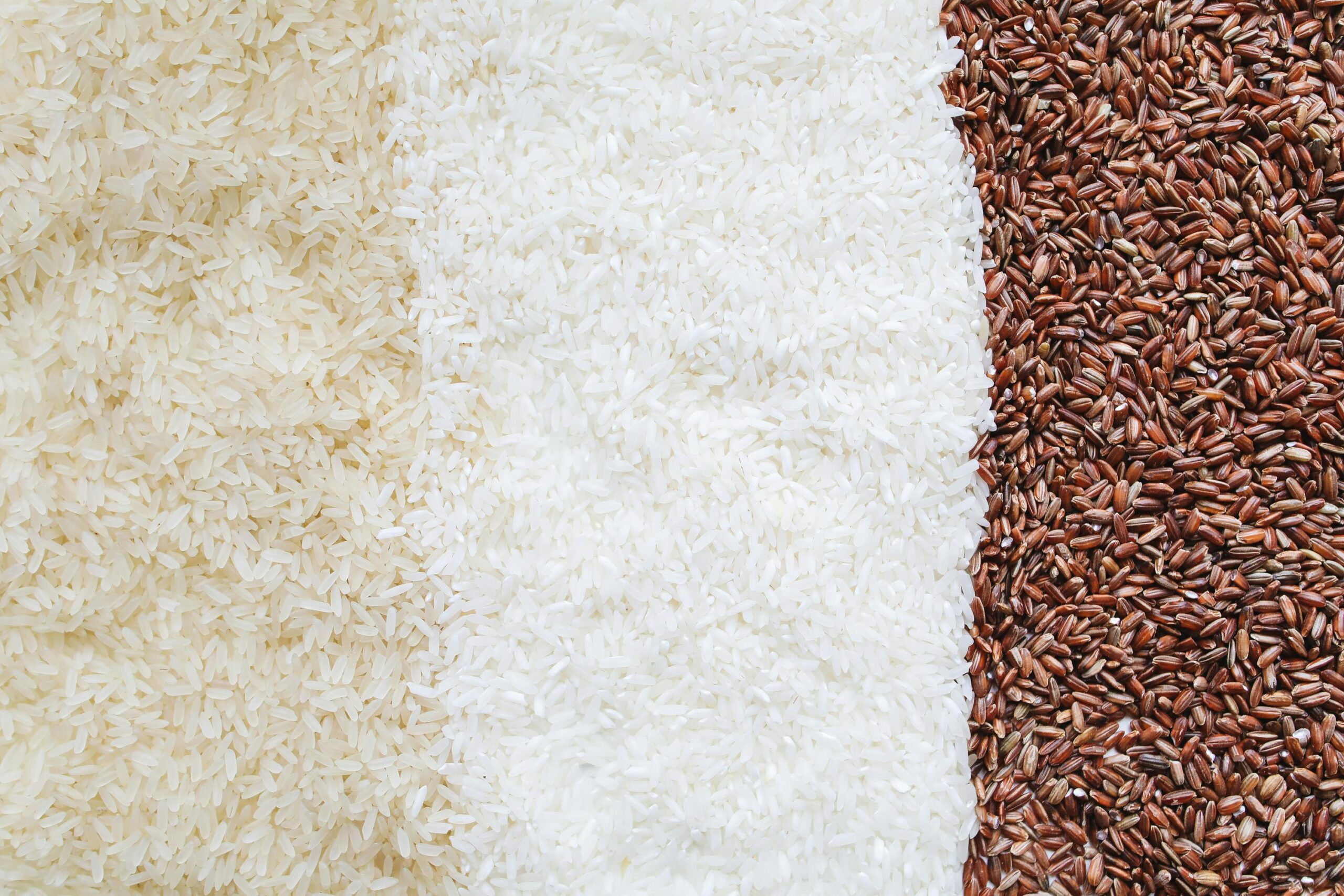 What to Expect from India’s Removal of the Export Ban on White Non-Basmati Rice