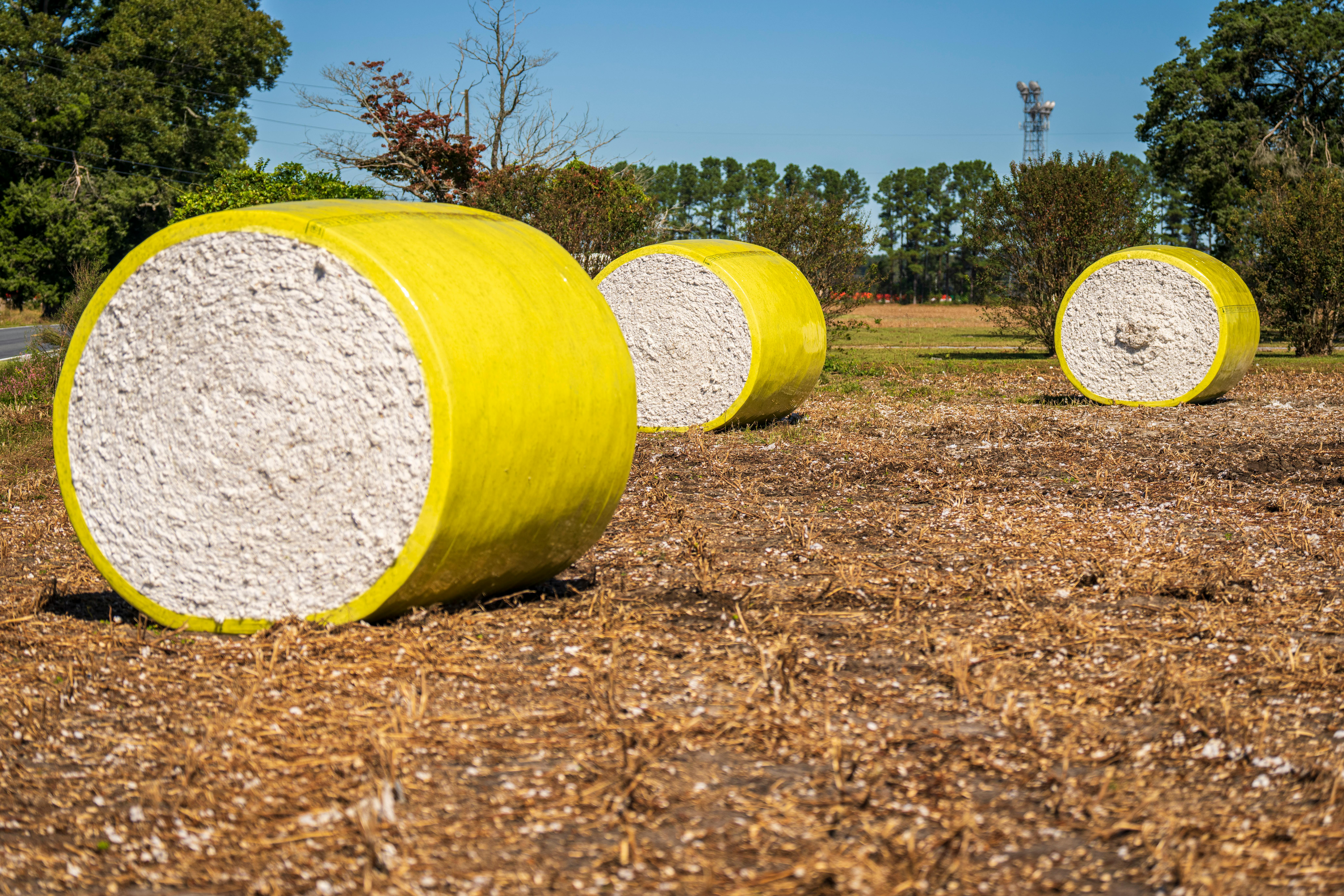 round bales of harvested cotton wrapped in yellow plastic in the field
