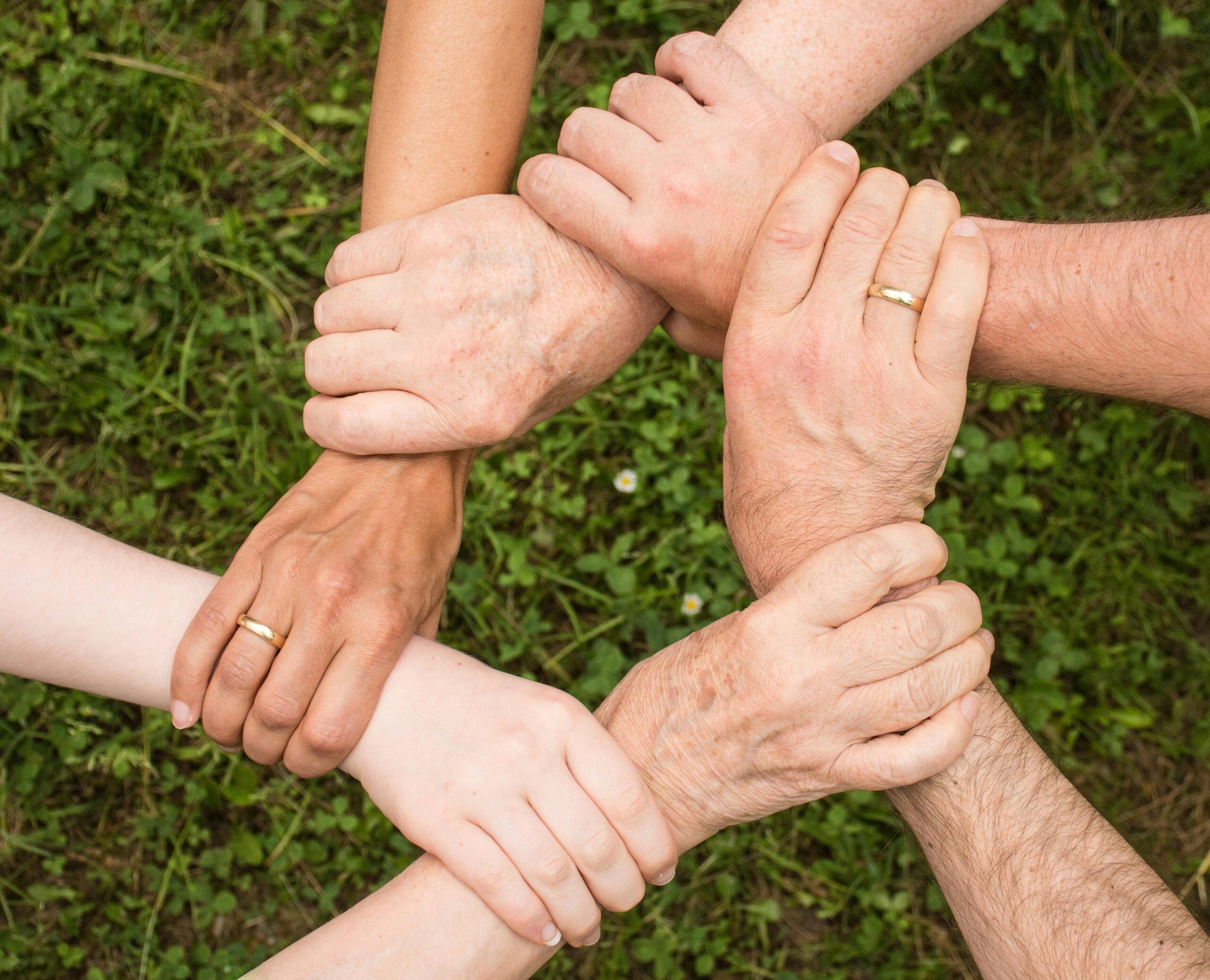 Nonprofit Organizations and Community Engagement: Bridging Gaps in Local Support